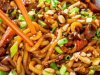 Asian Style Udon Noodles with Pork and Mushrooms