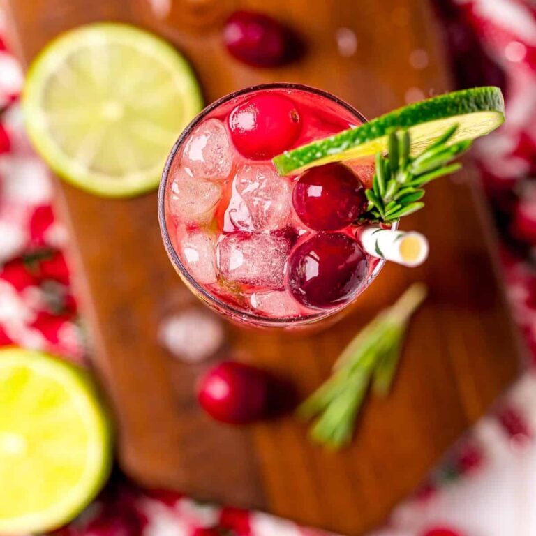 Cranberry Gin & Tonic with Rosemary