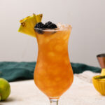 Fruity Rum Runner Cocktail Recipe