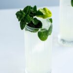 Refreshing Mojito Cocktail Recipe